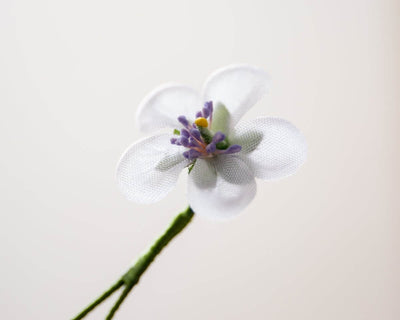 -Boutonnière Lavendelgeranie Mini (Geranium) - Herr von Welt - Herr von Welt