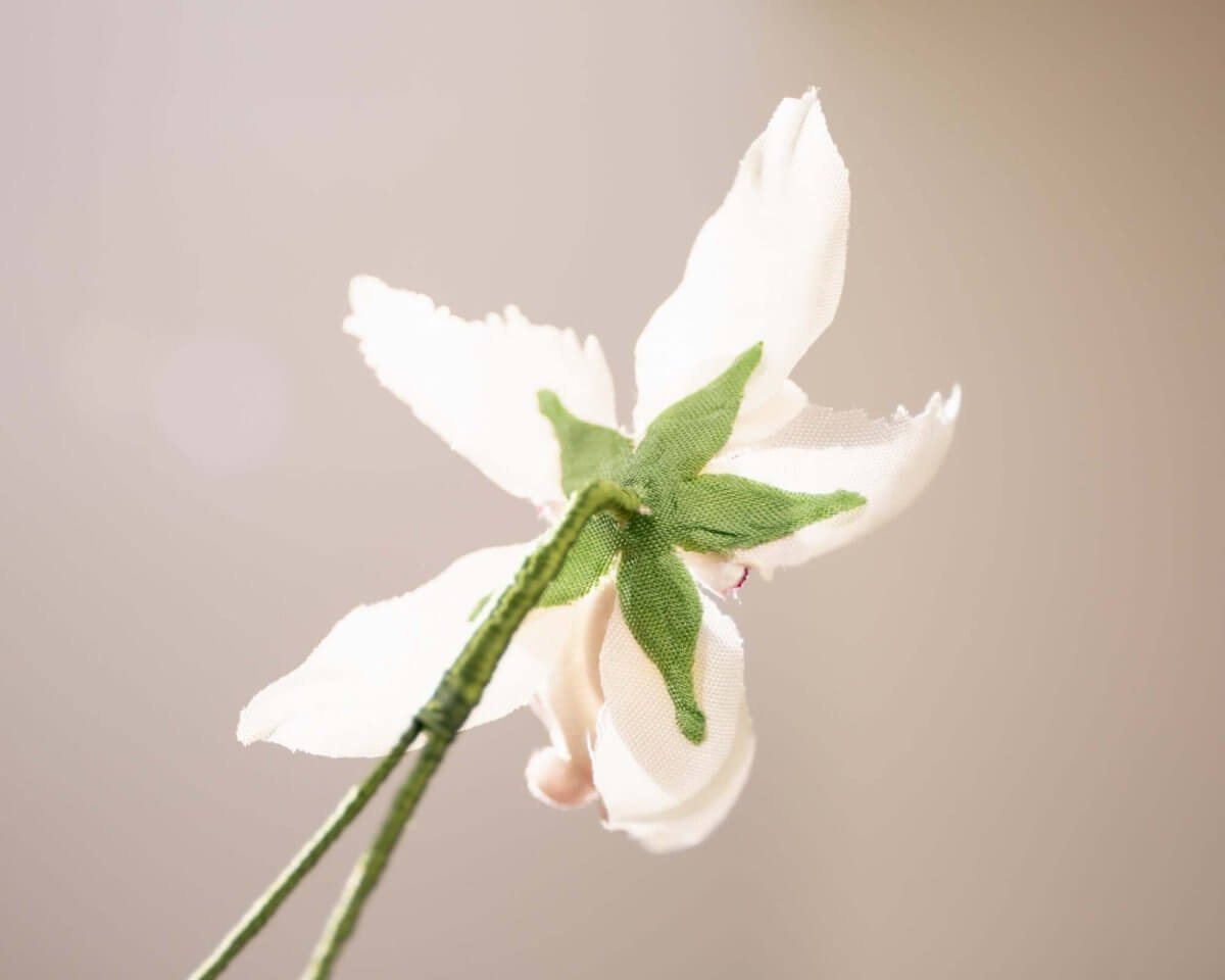 -Boutonnière Orchidee (Odontoglossum) - Herr von Welt - Herr von Welt