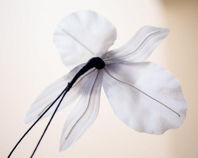 -Boutonnière Orchidee Silber-Weiß (Burrageara Cambria) - Herr von Welt - Herr von Welt