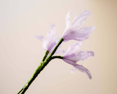 -Boutonnière Almrausch 3er (Rhododendron hirsutum) - Herr von Welt - Herr von Welt
