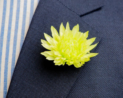 -Boutonnière Chrysantheme Hellgrün (Chrysanthemum) - Herr von Welt - Herr von Welt