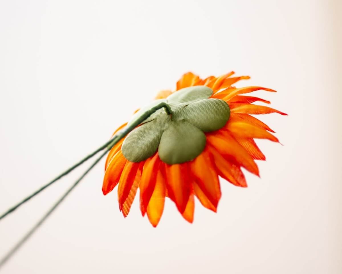 -Boutonnière Chrysantheme Orange (Chrysanthemum) - Herr von Welt - Herr von Welt