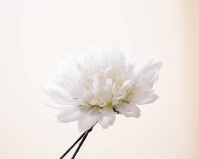 -Boutonnière Chrysantheme Weiß (Chrysanthemum) - Herr von Welt - Herr von Welt