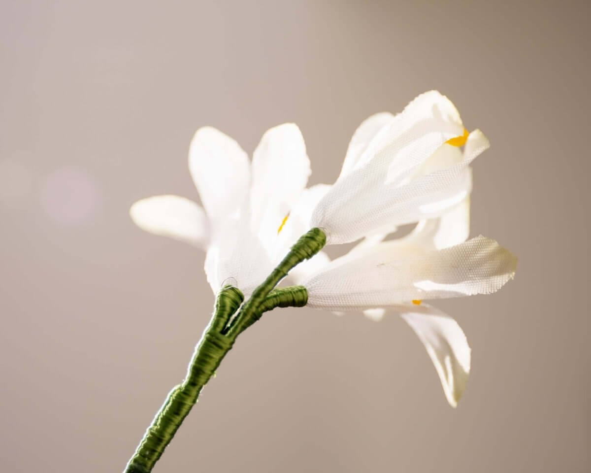 -Boutonnière Hyazinthe Weiß 3er (Hyacinthus) - Herr von Welt - Herr von Welt