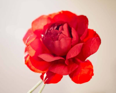 -Boutonnière Kamelie Rot (Camellia) - Herr von Welt - Herr von Welt