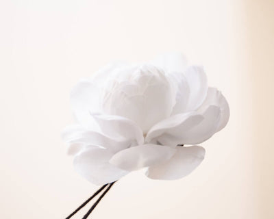 -Boutonnière Kamelie Weiß (Camellia) - Herr von Welt - Herr von Welt