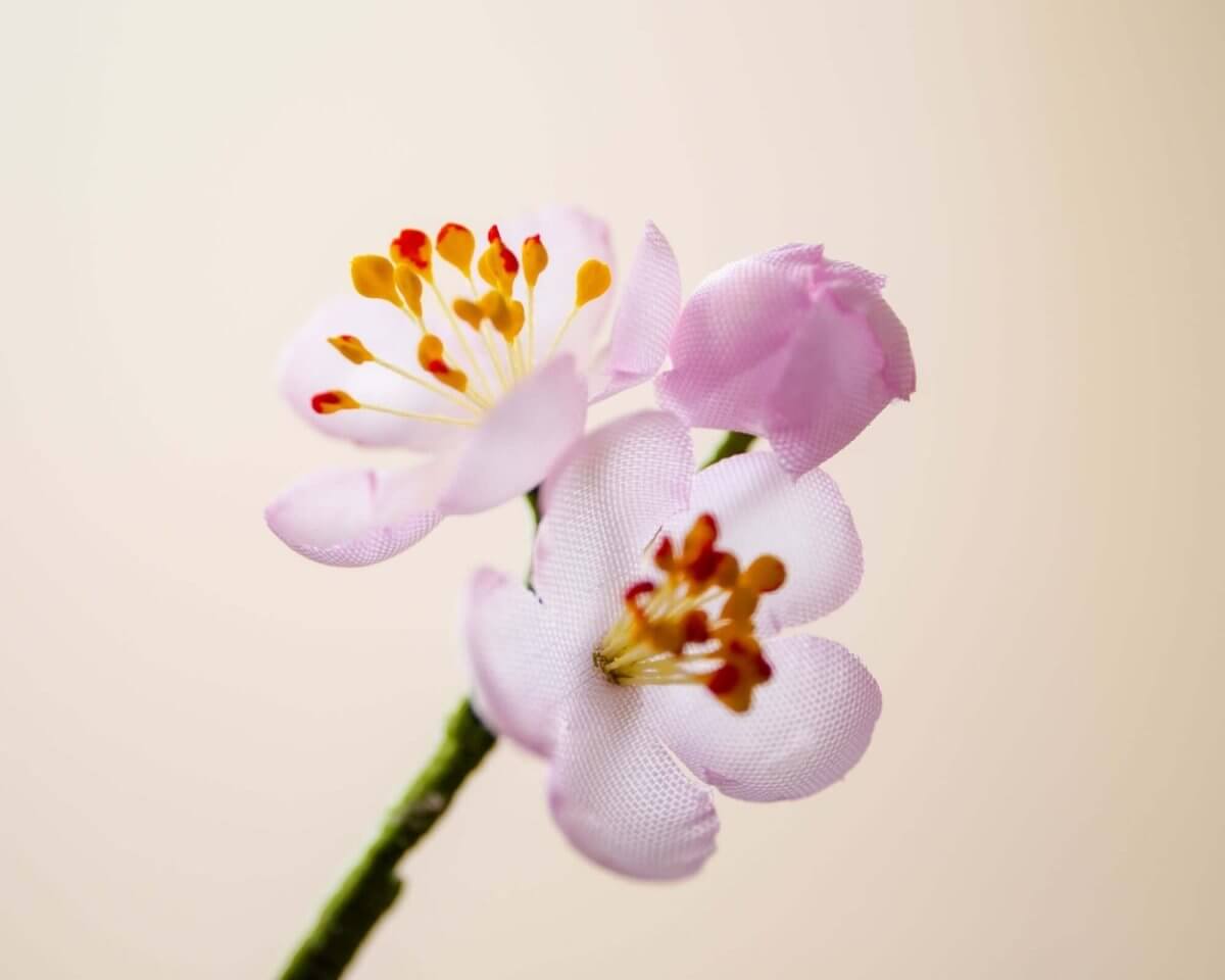 -Boutonnière Kirschblüte Rosa 3er (jap. sakura) - Herr von Welt - Herr von Welt