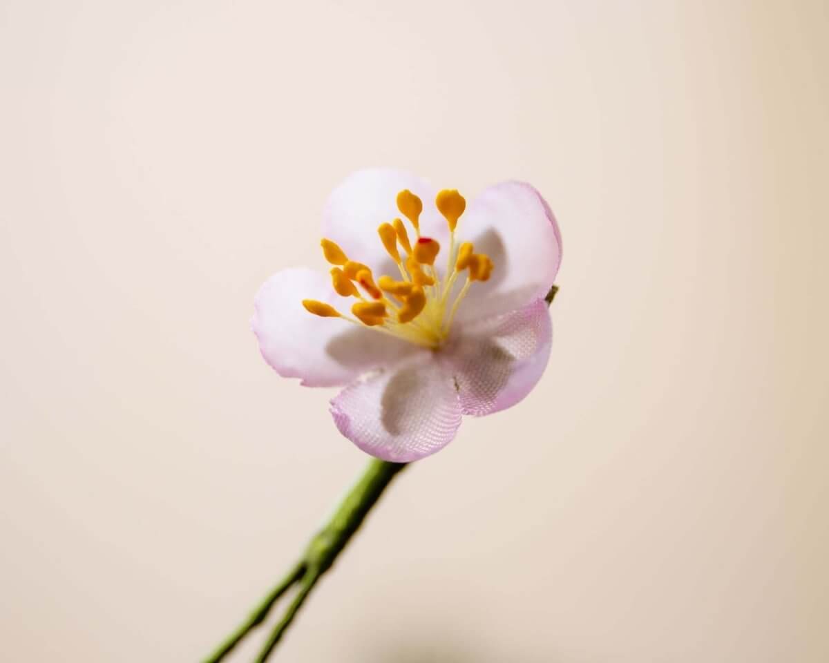 -Boutonnière Kirschblüte Rosa Mini (jap. sakura) - Herr von Welt - Herr von Welt