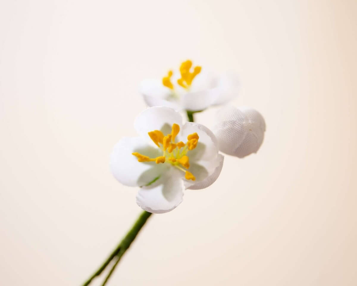-Boutonnière Kirschblüte Weiß 3er (jap. sakura) - Herr von Welt - Herr von Welt