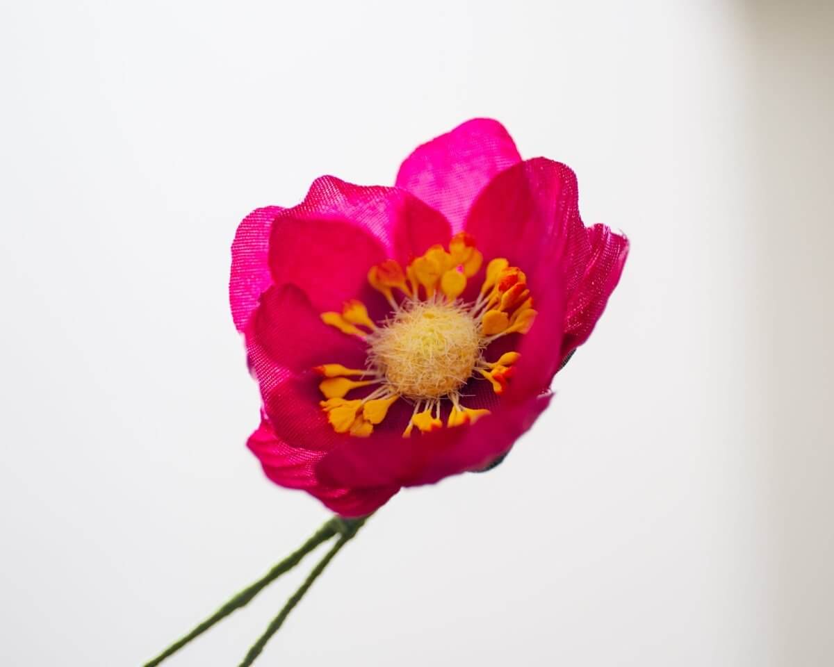 -Boutonnière Lotusblüte Magenta (Nelumbo) - Herr von Welt - Herr von Welt