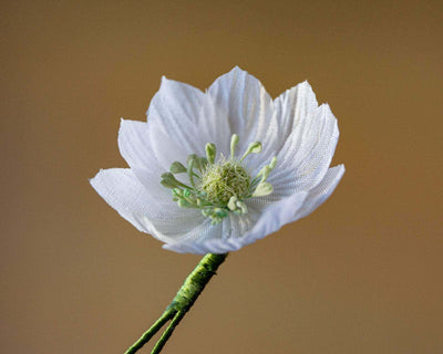 -Boutonnière Lotusblüte Weiß-Grün (Nelumbo) - Herr von Welt - Herr von Welt