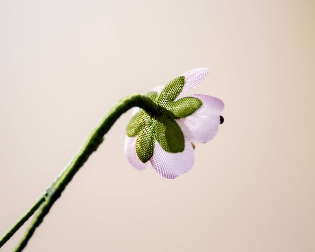 -Boutonnière Mandelblüte Mini (Prunus dulcis) - Herr von Welt - Herr von Welt