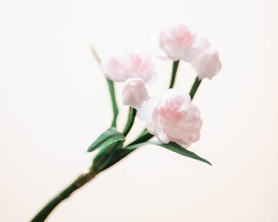 -Boutonnière Mandelblüten Rosa (Bouquet) - Herr von Welt - Herr von Welt