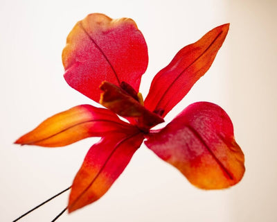 -Boutonnière Orchidee Rot-Kupfer (Burrageara Cambria) - Herr von Welt - Herr von Welt