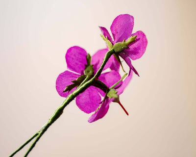 -Boutonnière Storchschnabel Lila 3er (Geranium) - Herr von Welt - Herr von Welt