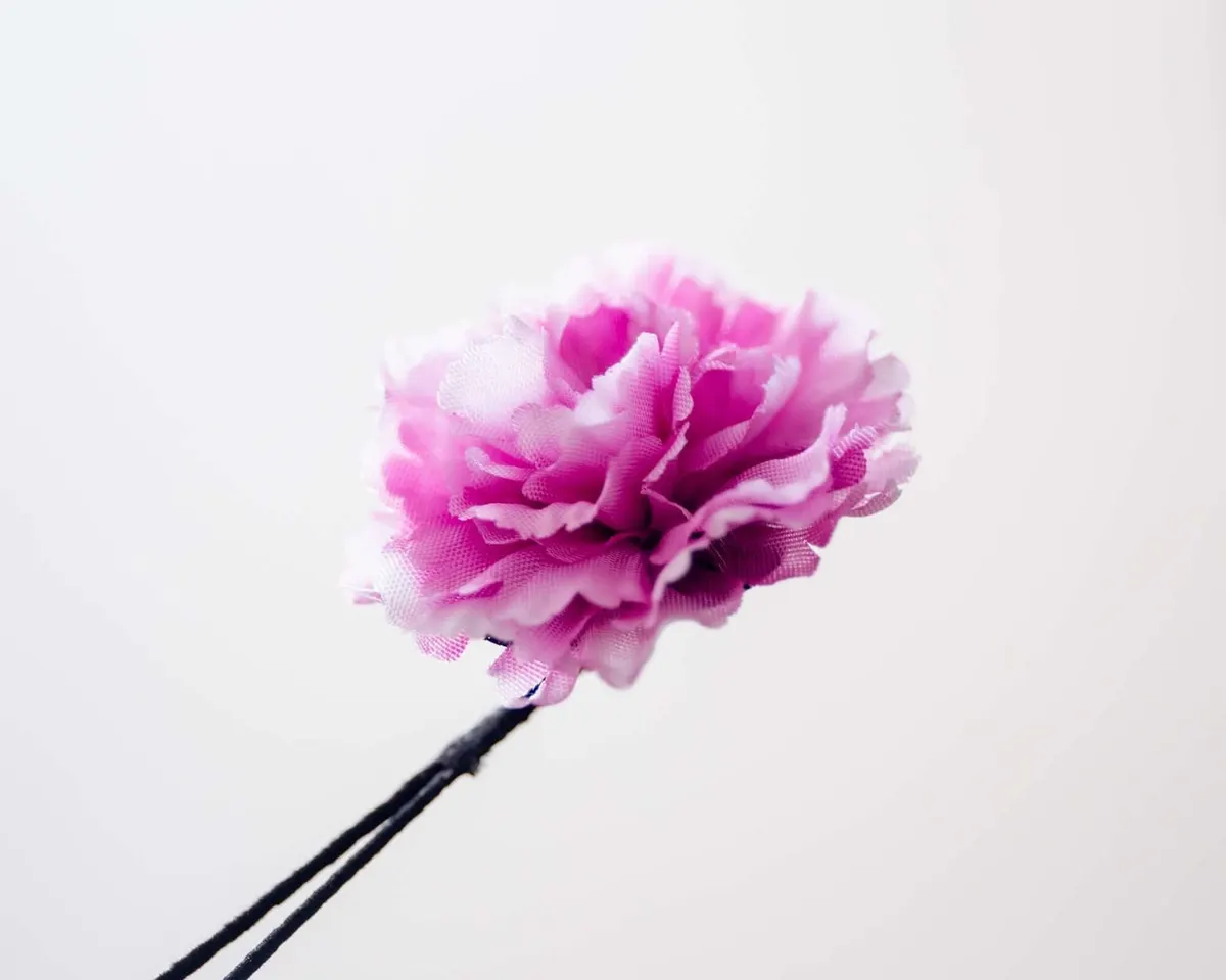 Boutonnière carnation magenta a small (Caryophyllaceae) - view 2