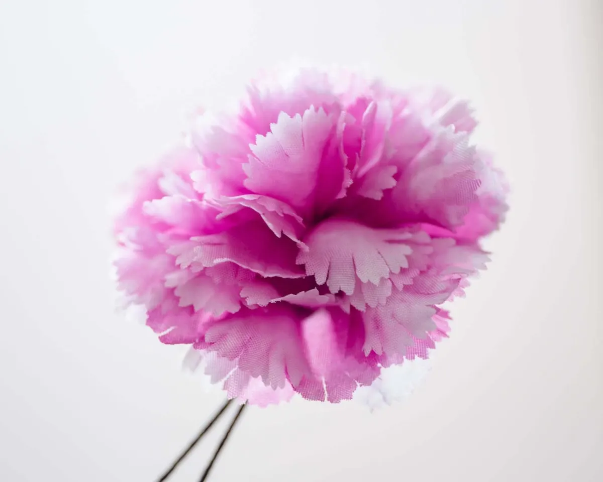 Boutonnière carnation magenta b medium (Caryophyllaceae) - view 2