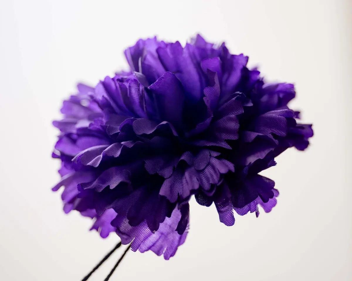 Boutonnière carnation purple c large (Caryophyllaceae) - view 2