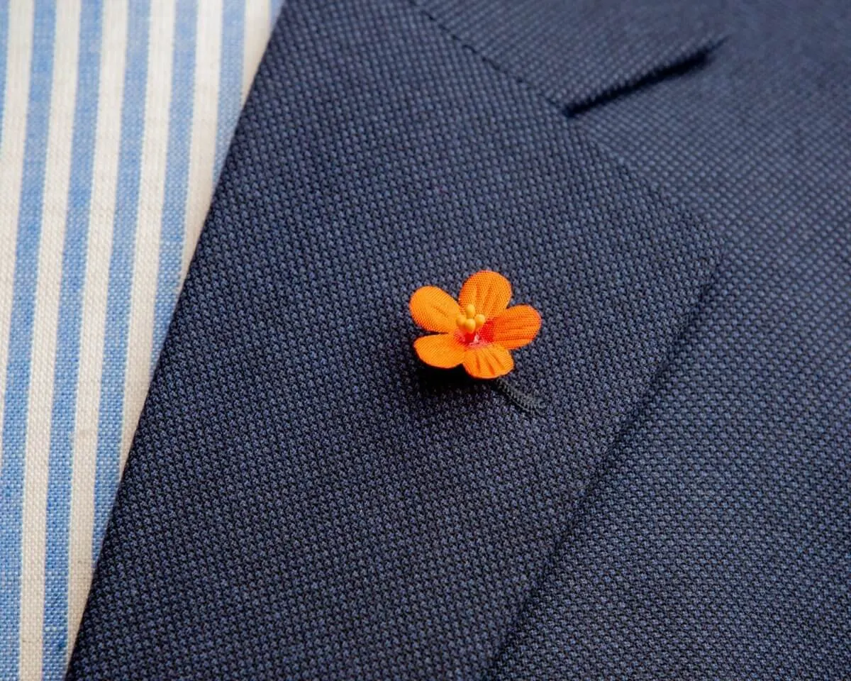 Boutonnière Acker Gauchheil Mini (Anagallis arvensis)