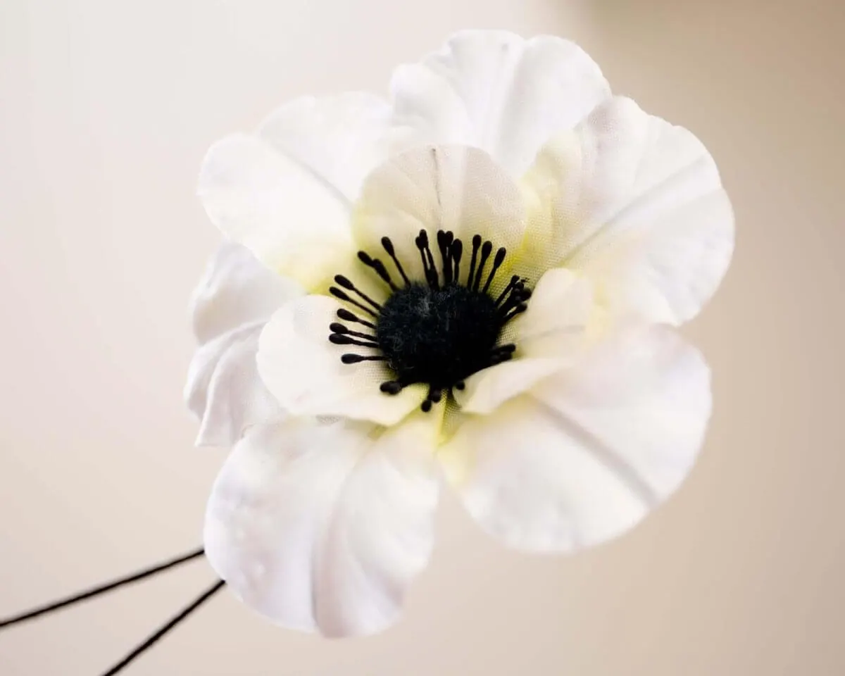 Boutonnière anemone white (Anemone) - view 2