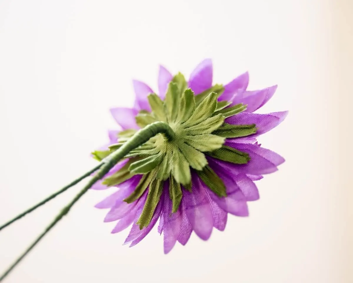 Buttonhole Aster Violett Large - view 3