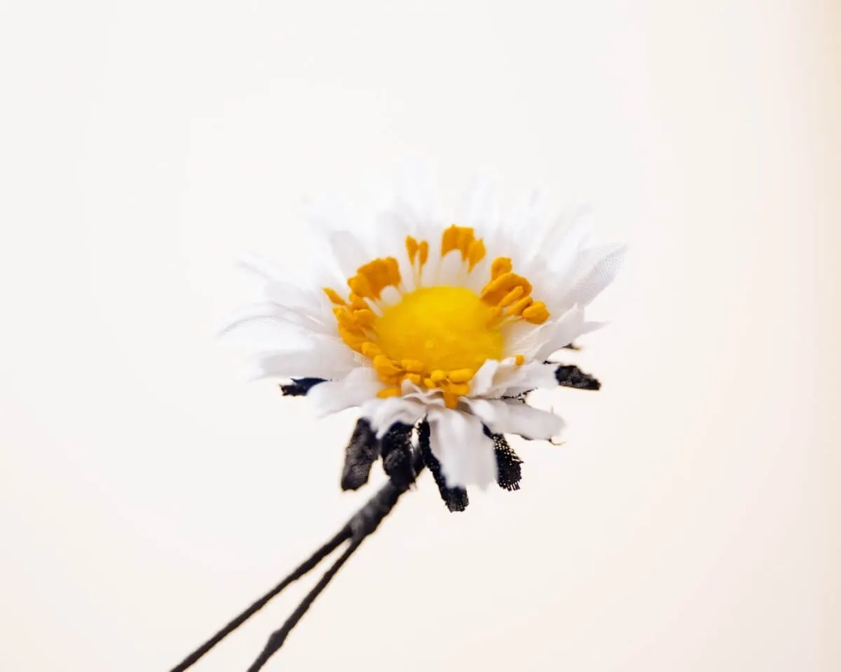Boutonnière Aster White Small - view 2
