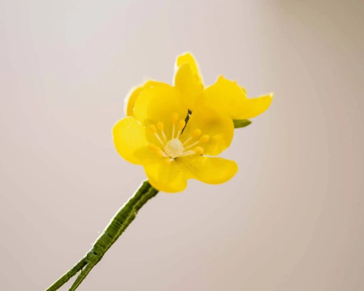 Boutonnière buttercup triple (Caltha palustris) - view 2