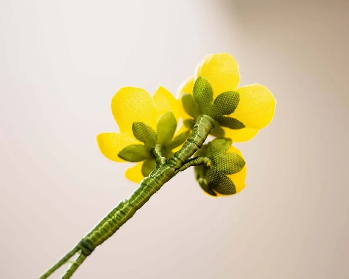Boutonnière buttercup triple (Caltha palustris) - view 3