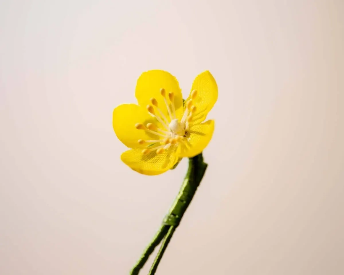 Boutonnière buttercup mini (Caltha palustris) - view 2