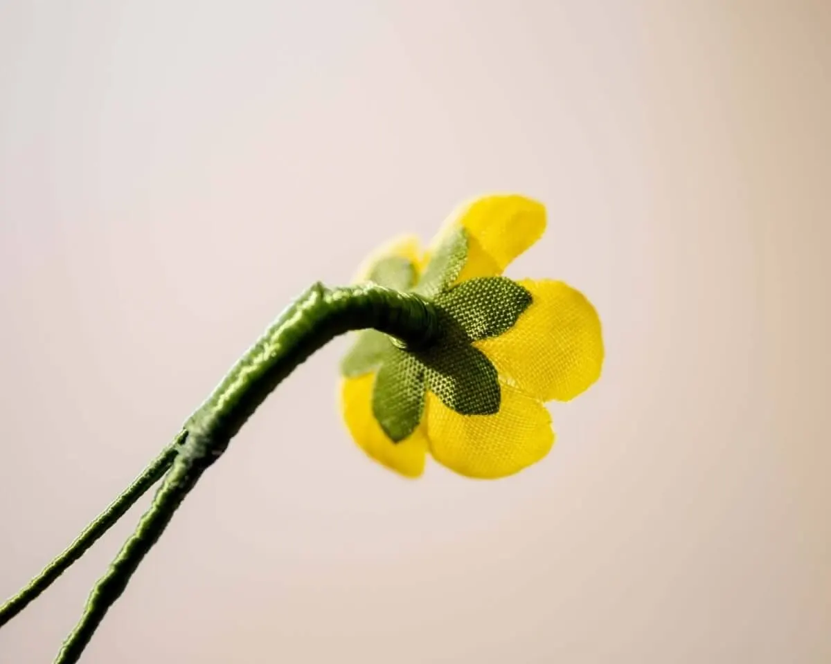 Boutonnière buttercup mini (Caltha palustris) - view 3