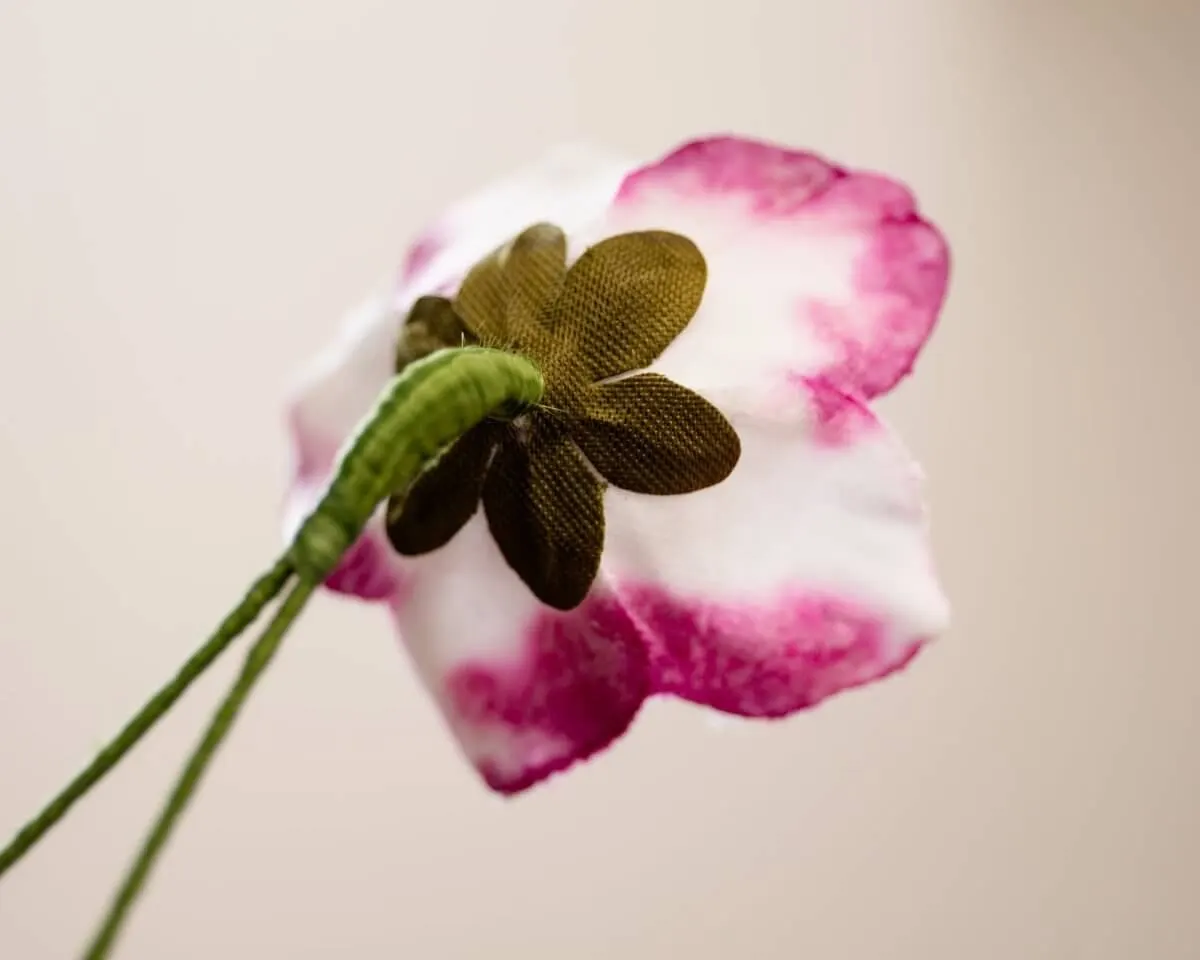 Boutonnière Christmas Rose White-Violet (Helleborus niger) - view 3