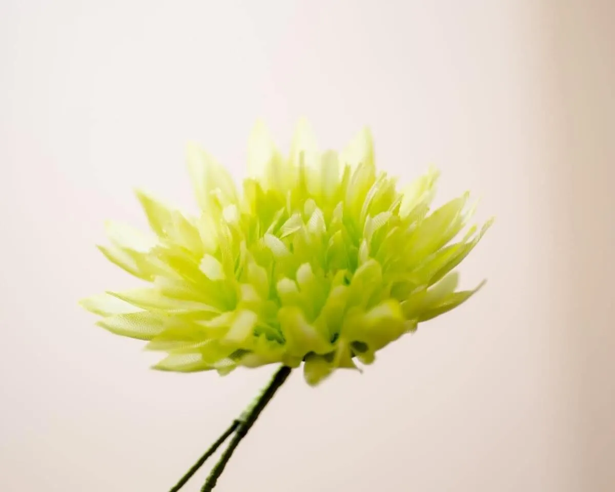 Boutonnière Chrysanthemum Green - view 2