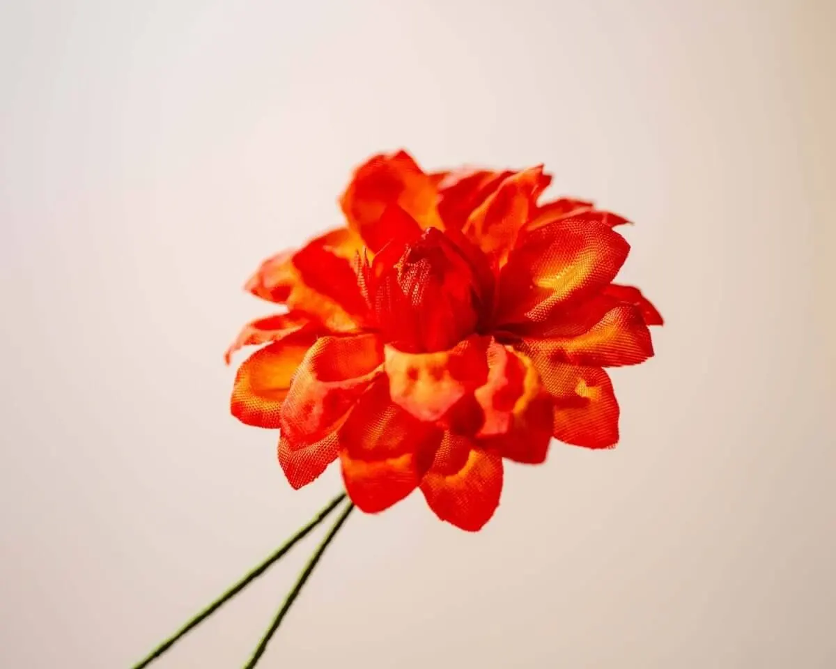 Boutonnière dahlia orange (Dahlia) - view 2