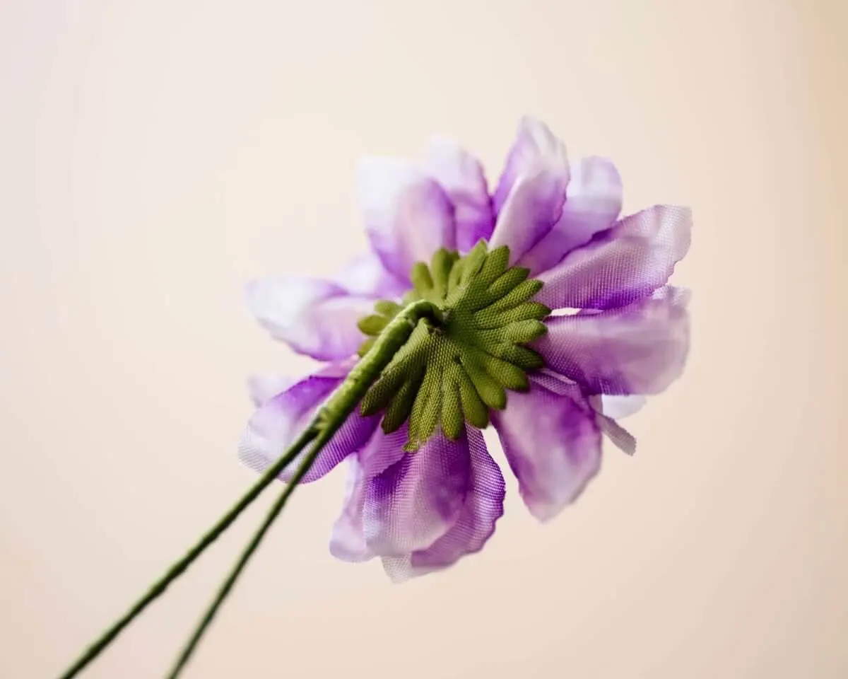Boutonnière dahlia white-purple (Dahlia) - view 3