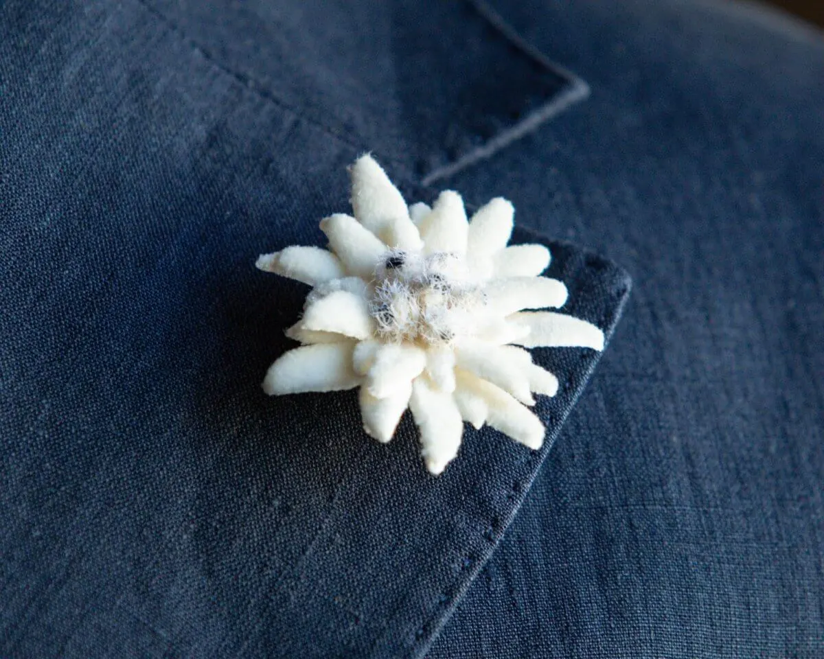 Boutonnière edelweiss (Leontopodium alpinum) - view 15