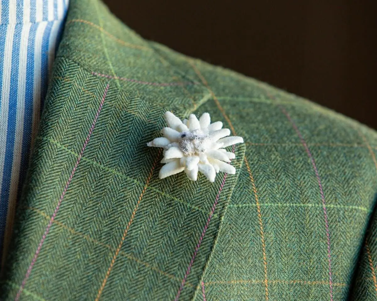 Boutonnière edelweiss (Leontopodium alpinum) - view 6