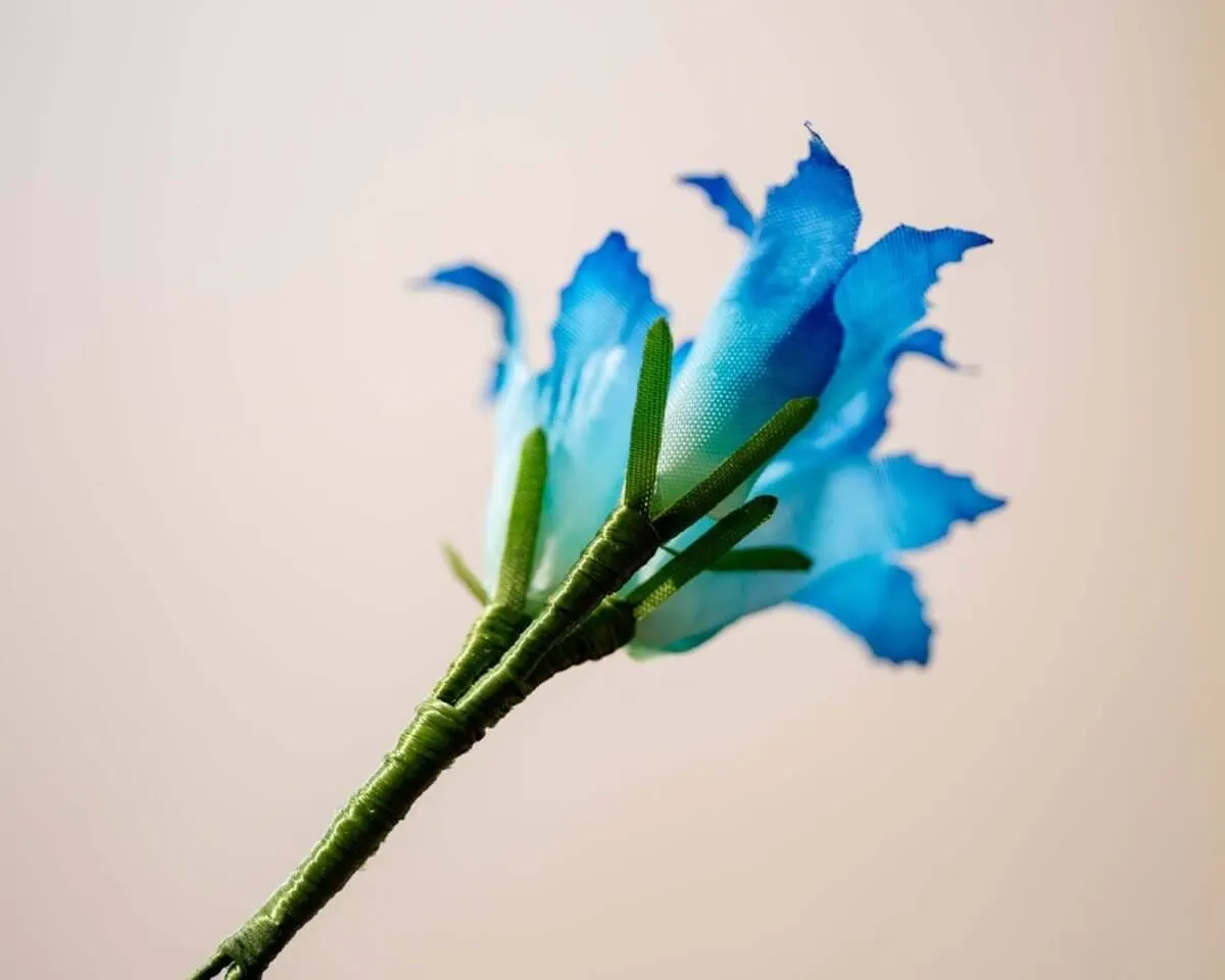 Boutonnière gentian triple (Gentianaceae) - view 3