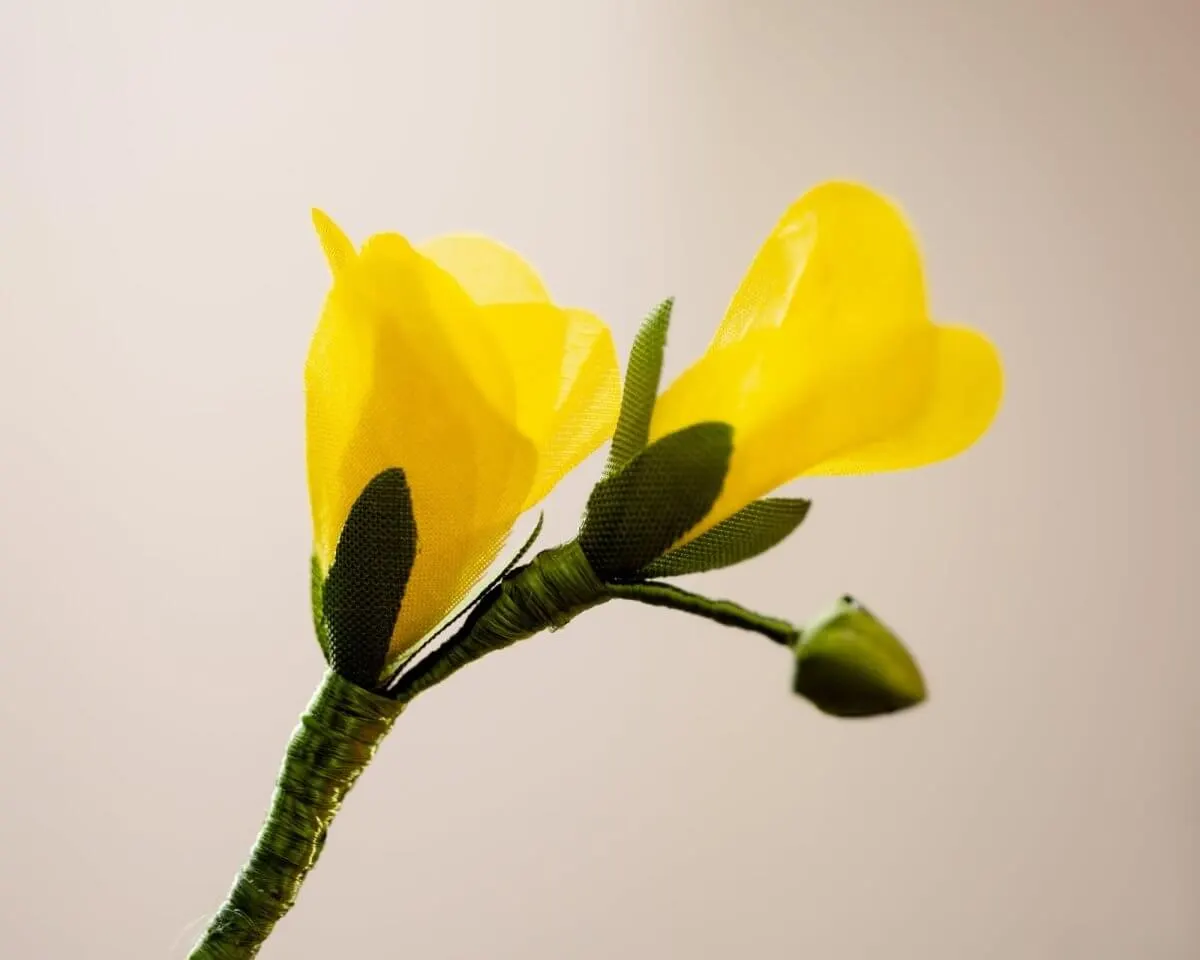Boutonnière Freesia Yellow (Freesia Alba) - view 2