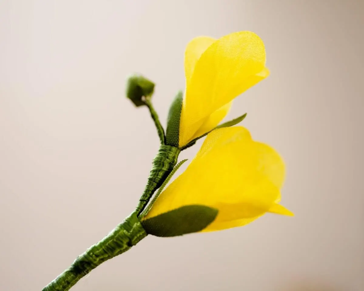 Boutonnière Freesia Yellow (Freesia Alba) - view 3