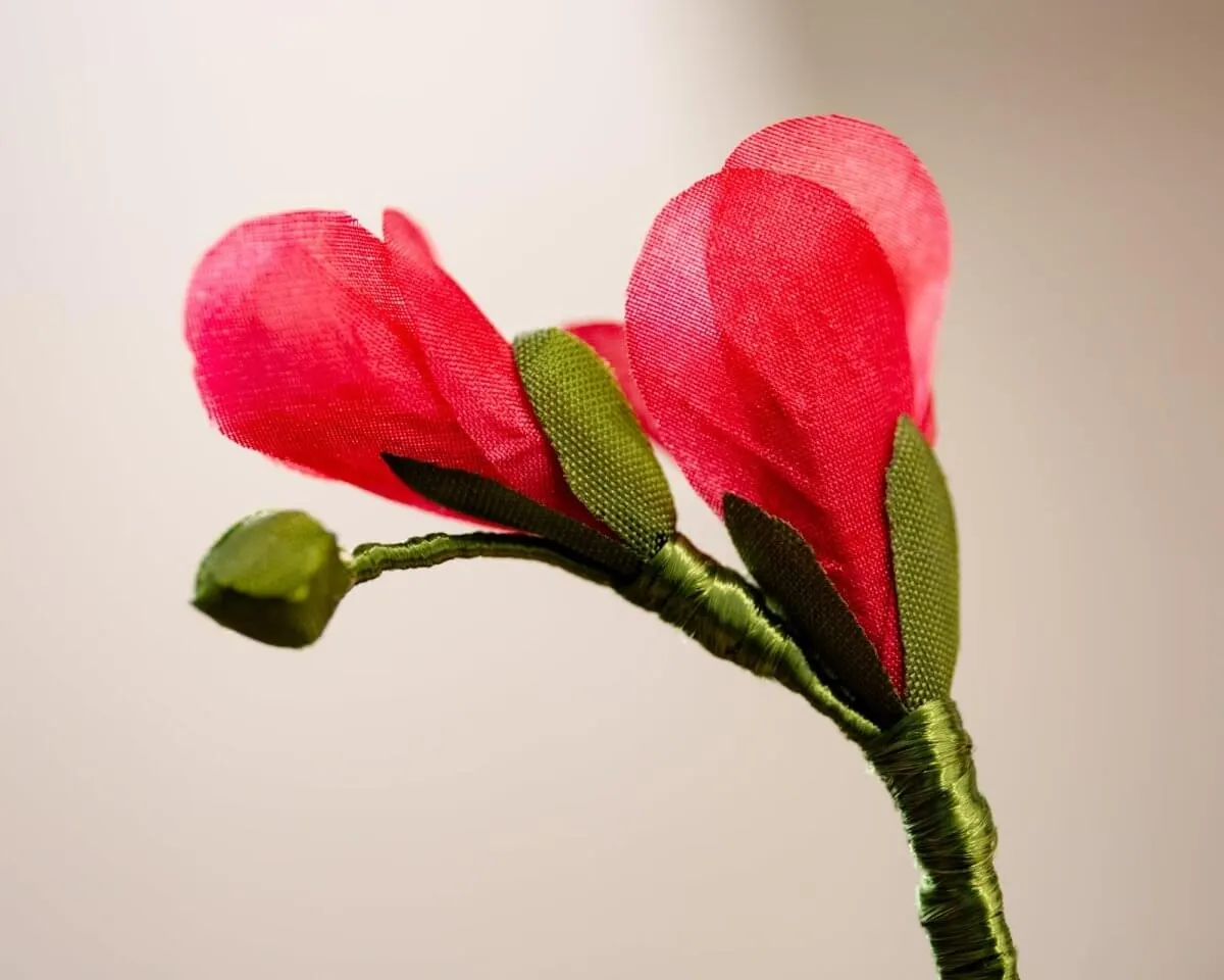 Boutonnière Freesie Rot (Freesia rubrum) - view 3