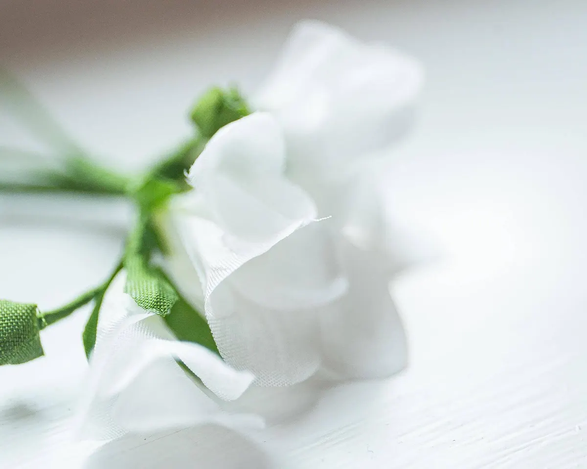 Boutonnière Freesia White (Freesia Alba) - view 8