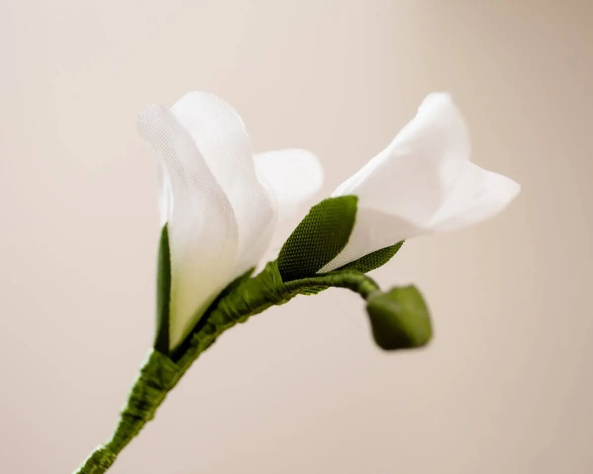 Boutonnière Freesia White (Freesia Alba) - view 2
