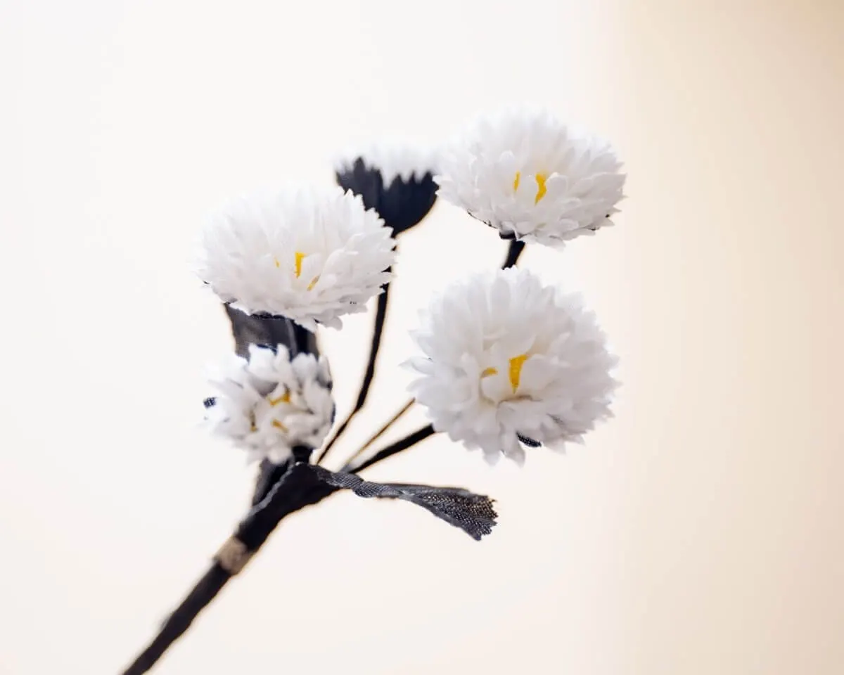 Boutonnière Daisy White (Bouquet) - view 2