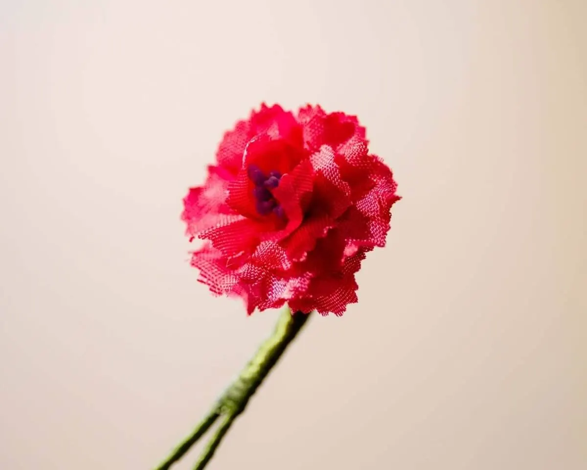Boutonnière geranium pink mini (Geranium) - view 2