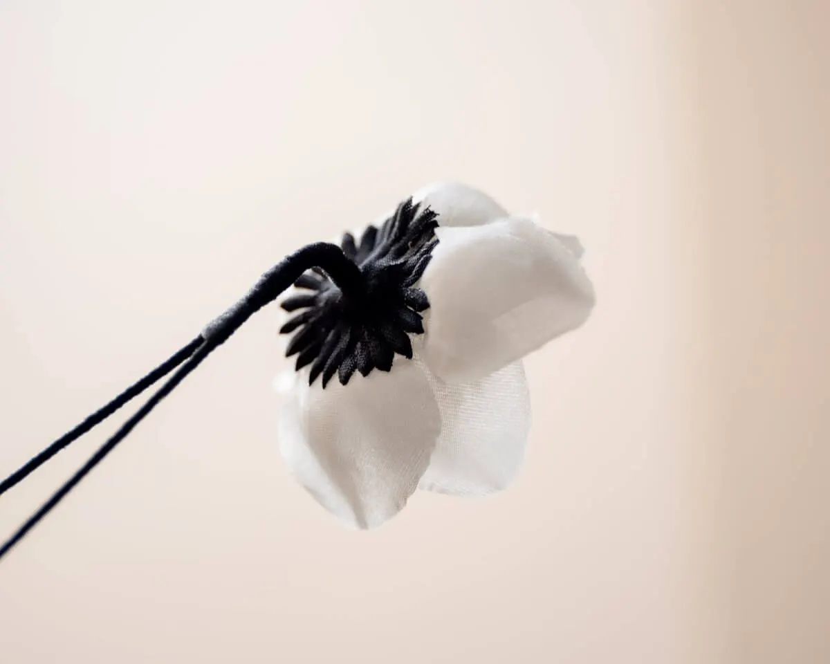 Boutonnière Hedge Rose White (Rosa corymbifera) - view 3