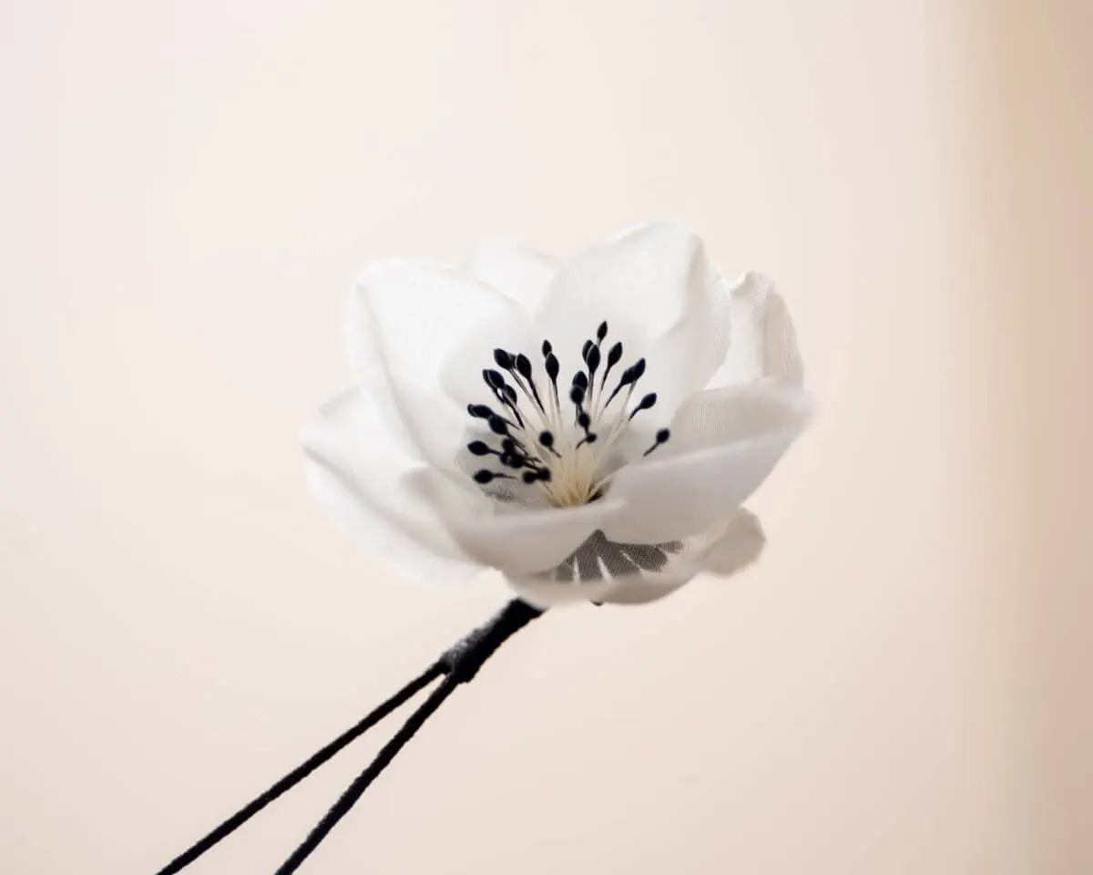 Boutonnière Hedge Rose White (Rosa corymbifera) - view 2