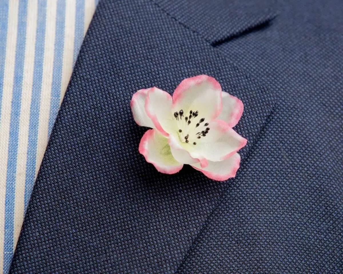 Boutonnière hedge rose (Rosa corymbifera)