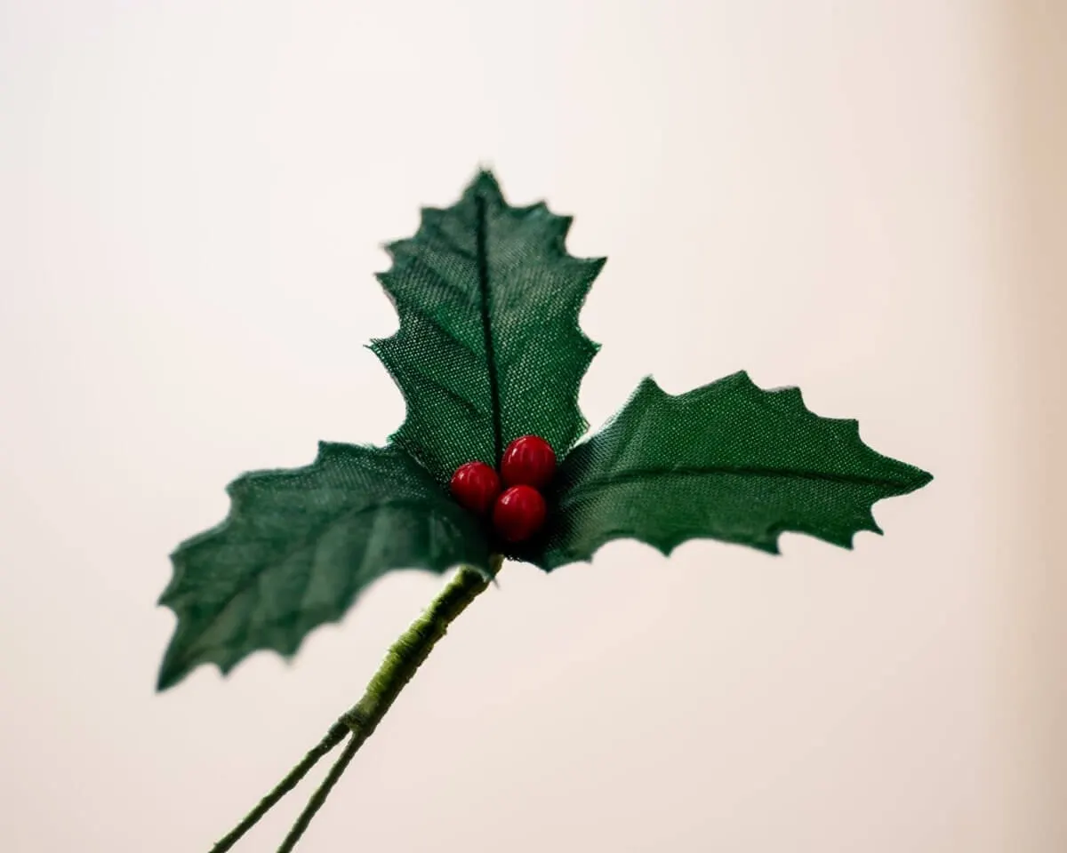 Boutonnière Ilex 'Bing Crosby' Large (Ilex aquifolium) - view 2