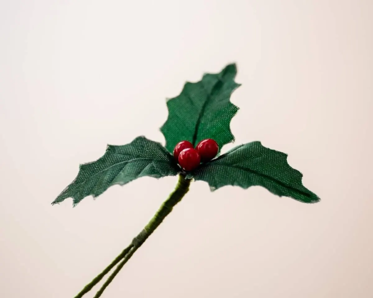 Boutonniere Ilex 'Bing Crosby' Small (Ilex aquifolium) - view 2