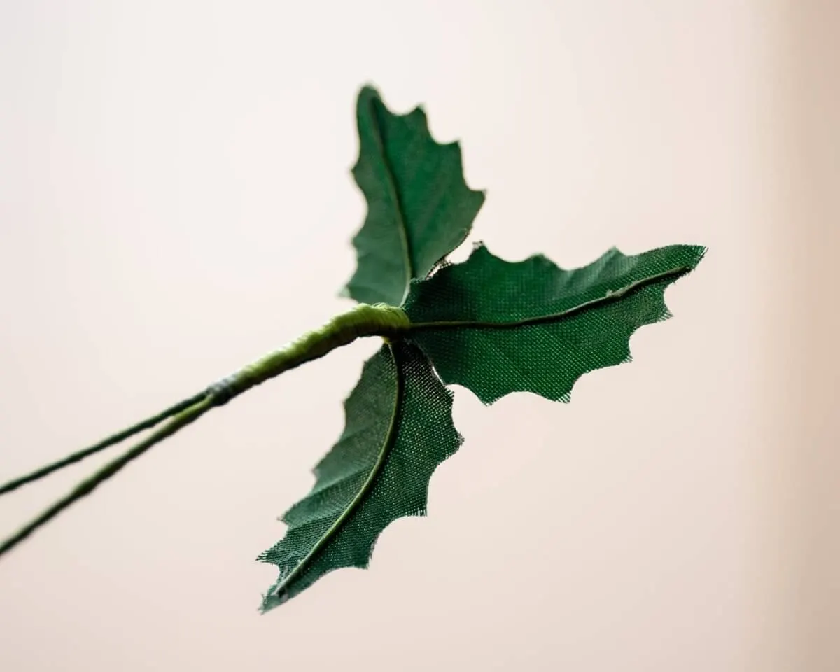 Boutonniere Ilex 'Bing Crosby' Small (Ilex aquifolium) - view 3